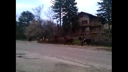 Vid_20160319_135350