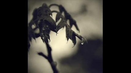 I Am Sonic Rain - As Rain We Fall