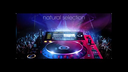 Intro sound 2013