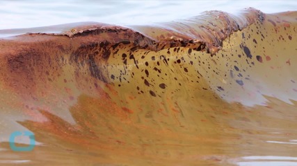 BP Reaches Billion Dollar Settlement With Gulf States for Oil Spill