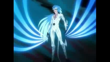 Ichigo vs. Grimmjow