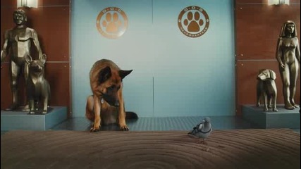 Котки и кучета 2: Отмъщението на Кити Галор - 2 част