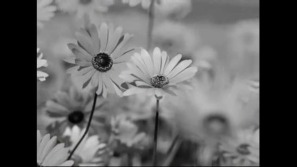 Scorpions - Miracle 