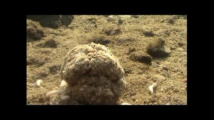 Риби и такъми - Риболов - За морунажи през зимата (част 3)