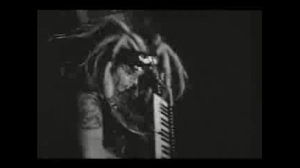 The Order Of The Fly - Rot