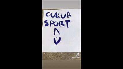 Vid_34490121_010655_357.mp4