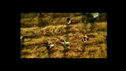 Morandi - Saveme