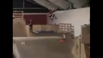 Top 8 idiots 