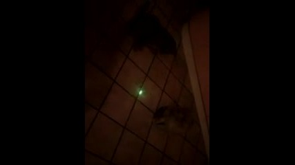 Vid_20140124_202424