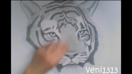 ...tiger Drawing...