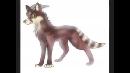 animals 