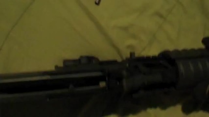 Sig 556 Swat Field Strip