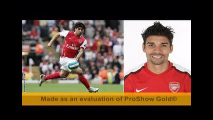 Arsenal 2008 - 2009