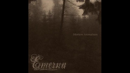 Emerna - Ambiguous Delirium 