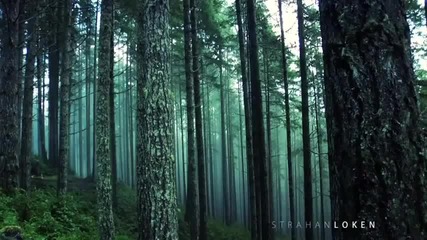 Freeriding in the forest