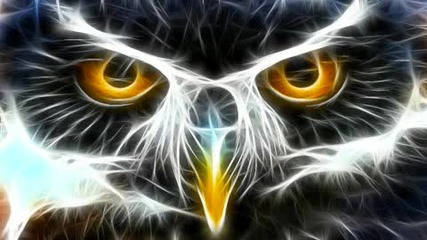 Exoplanet - Owl Fights Strange Creatures And Hard Feelings (original mix)