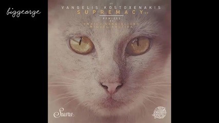 Vangelis Kostoxenakis - Son Of A Gun ( Original Mix )