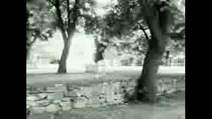 Killer My First Barani