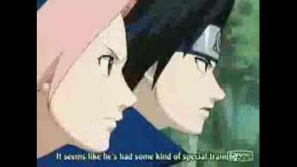 Team 7s Perfect Day
