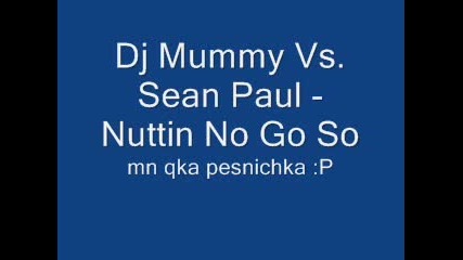 Dj Mummy Vs. Sean Paul - Nuttin No Go So
