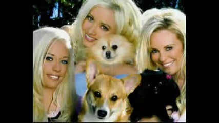 Girls Of The Playboy Mansion Theme + Pictures + Lyrics
