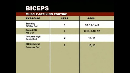 Muscle & Fitness Training System - Arms