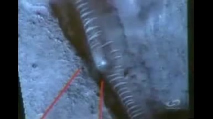Alien Spacecraft Found on Mars Richard Hoagland