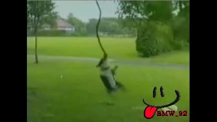Компилация - Смешни Моменти С Кучета