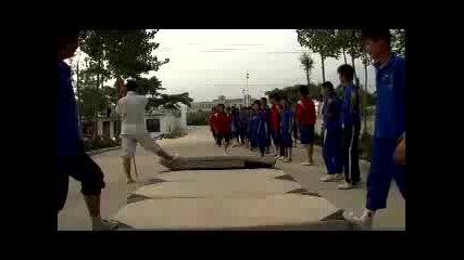 Wushu