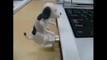 Dog Usb 