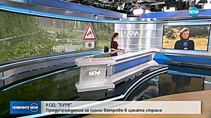В цялата страна е в сила жълт код за опасен вятър