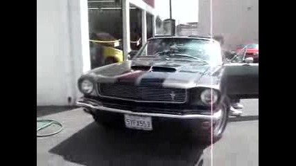 Ford Mustang Shelby Gt - 350 