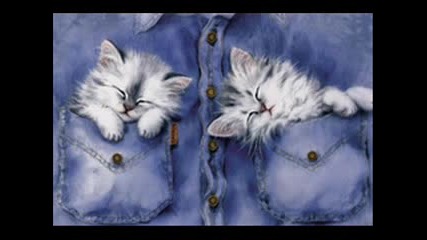 Котки