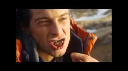 Man vs. Wild - Bear Just Eat It