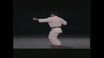 Kyokushin - taikyoku sono san 