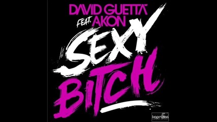 David Guetta feat Akon - Sexy Chick 