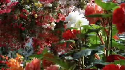 Antonio Vivaldi - Summer