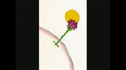 Psychotica - Little Prince