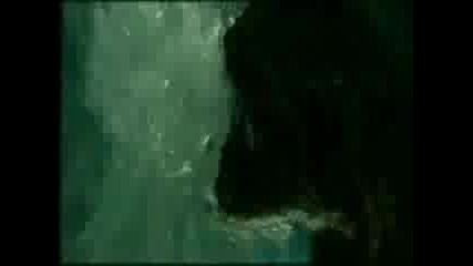 Rammstein - Zwitter
