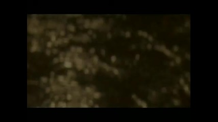 The Video Collection - Enya