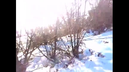 Lov na kotarak-kamburovo