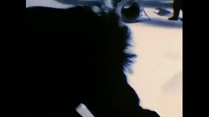 The Cure - In Between Days