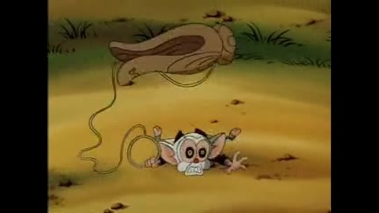 Pinky and the Brain, ep.10