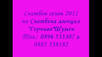 Сватбена украса Сезон 2012 на Сватбена агенция Горчиво Шумен - 1