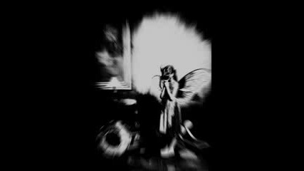 Cold Phoenix - Binding Me To Dream 