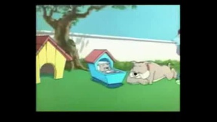 Tom And Jerry (parodiq)