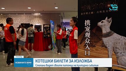 Музей за котки отвори врати в Китай