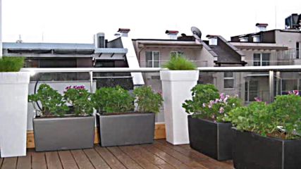 озеленяване тераса фолиране саксии с балконски цветя