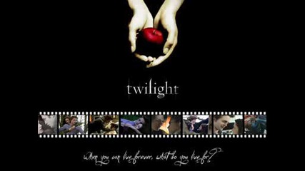 New Moon / Twilight