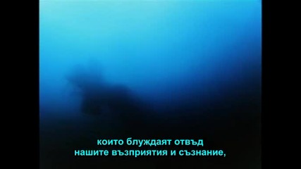 Whales.an.unforgettable.journey 